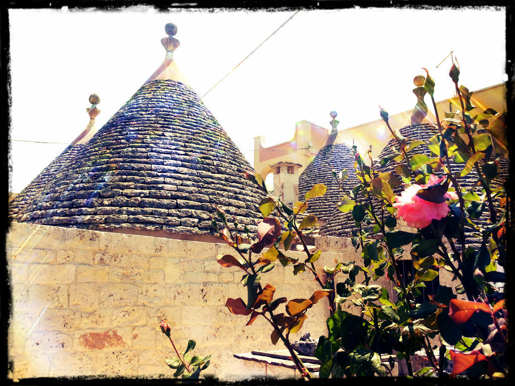 Dimora Matarrese B&B Trulli Alberobello Exteriér fotografie